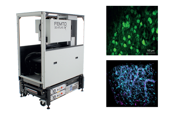 Микроскоп FEMTO3D Atlas: непревзойденные скорость и точность для 3D визуализации in vivo