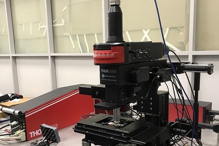 Завершен проект поставки мультифотонного микроскопа Bergamo II Thorlabs