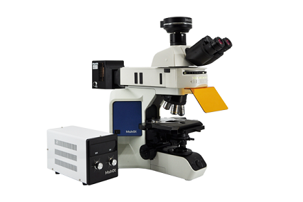 Флуоресцентный микроскоп MSHOT для диагностика рака методом FISH