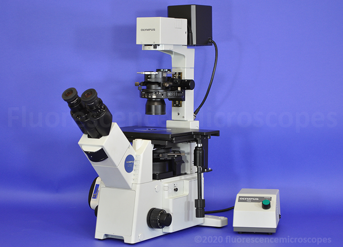 Микро ru. Микроскоп Olympus gx51. Микроскоп Олимпус цэ Икс 31. Инвертированный микроскоп Olympus ix73. Рамановский микроскоп РАММИКС 532.