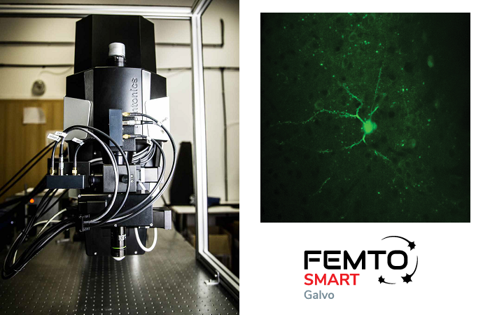 Микроскоп FemtoSmart Galvo: фокусировка на областях интереса с высокой скоростью и низким уровнем шума