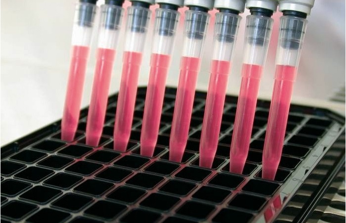 Исследования клеток для открытия новых методов лечения рака