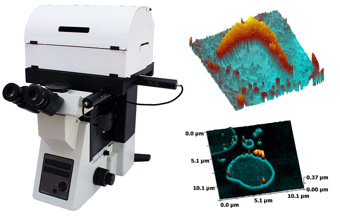 Сканирующая ион-проводящая микроскопия со “скачковым” режимом (HPICM)