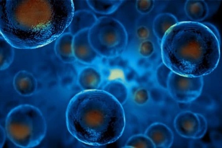 3D-биопечать решает проблему снабжения стволовыми клетками