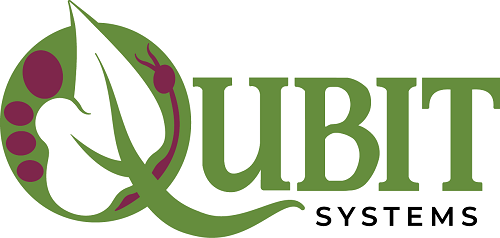 Qubit Systems