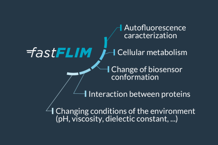Изображение Система Inscoper fastFLIM для автоматизации FLIM микроскопии