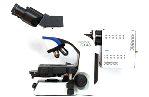 Многоканальная флуоресцентная микроскопия на стандартном биологическом микроскопе