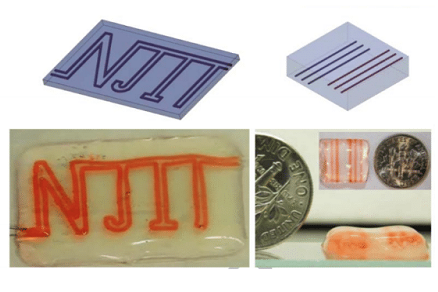 Изображение Биопечать васкуляризованной ткани с помощью 3D принтеров Allevi