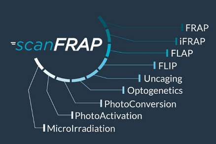 Inscoper scanFRAP: автоматизация микроскопии и фотоманипуляции. Демонстрация: 7 апреля, 17:00