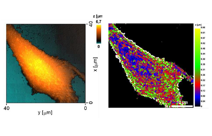Cканирующая ион-проводящая микроскопия (SICM) и наномеханика