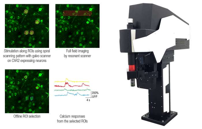 Оптогенетика и фотостимуляция с помощью микроскопа FEMTOSmart