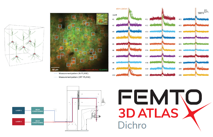3D фотостимуляция при визуализации с помощью микроскопа Femto 3D Atlas от Femtonics