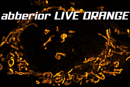 Изображение Новый флуоресцентный краситель abberior LIVE ORANGE для визуализации митохондрий