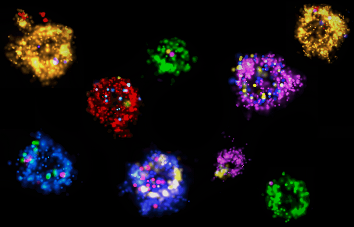 Руководство по визуализации внеклеточных везикул с помощью микроскопии сверхвысокого разрешения