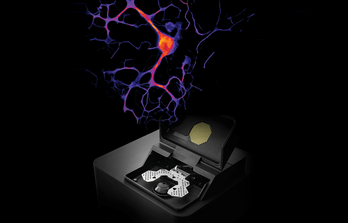 Изучение мозга на разных уровнях: от тканей до отдельных молекул