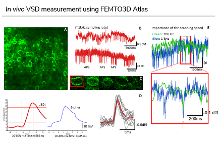 Визуализация изменений напряжения микроскопом FEMTO3D Atlas