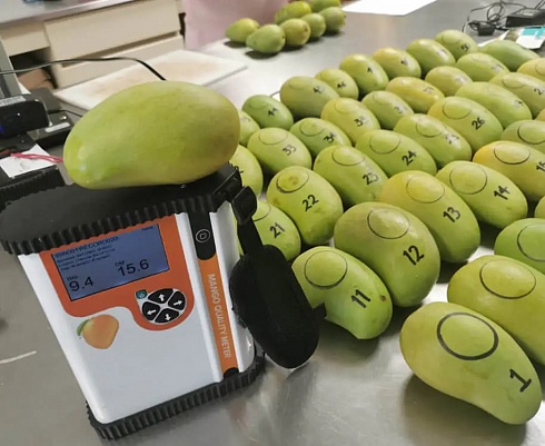 Фото F-751 Mango - ИК анализатор качества плодов манго