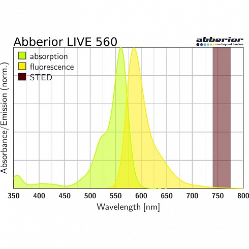 Флуоресцентный краситель Abberior LIVE 560