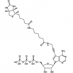 Biotin-11-ATP