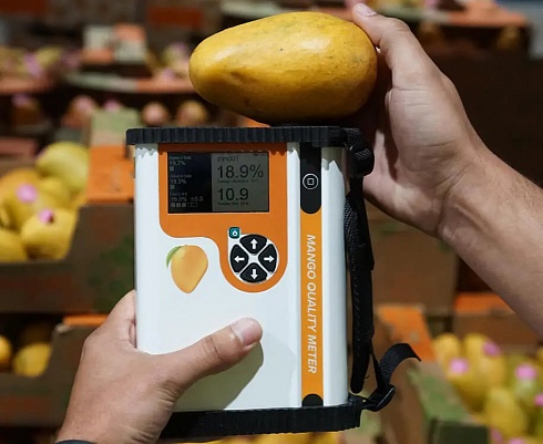Фото F-751 Mango - ИК анализатор качества плодов манго