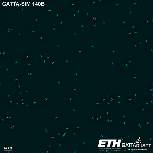Флуоресцентные маркеры-нанолинейки GATTA-SIM NANORULER