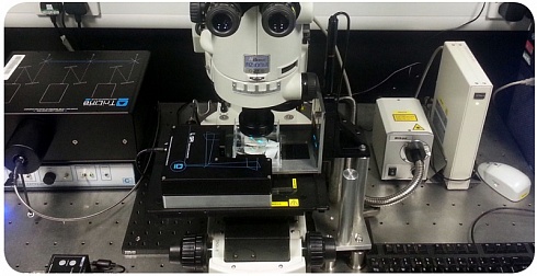 Система освещения L-SPI в микроскопе