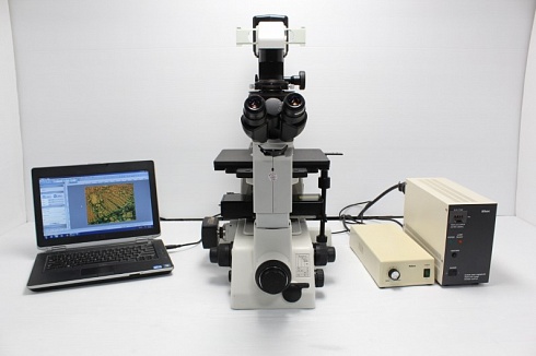 Изображение Микроскоп Nikon TE300, инвертированный, флуоресцентный