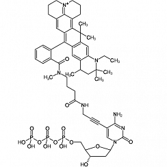 5-Propargylamino-dCTP-ATTO-647N