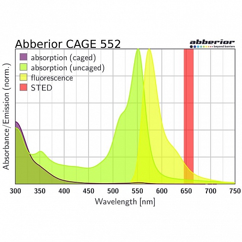 Флуоресцентный краситель Abberior CAGE 552