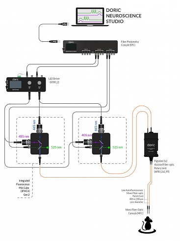 Системы для волоконной фотометрии с GCaMP: 2 канала