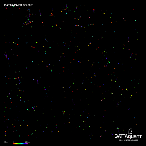 Флуоресцентные маркеры-нанолинейки GATTA-PAINT 3D