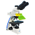 Флуоресцентный микроскоп MF31