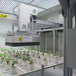 Фото PlantScreen Robotic XYZ - система фенотипирования с механическим манипулятором «XYZ»