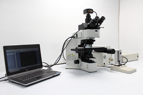 Изображение Флуоресцентный моторизированный микроскоп Olympus BX61