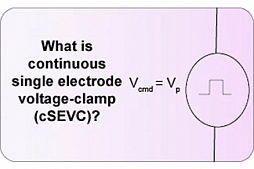 Изображение Непрерывный одноэлектродный патч-кламп (cSEVC)
