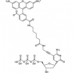 Rhodamine-12-dCTP