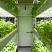 Фото Walk-in FytoScope FS-WI - оборудованное помещение для выращивания растений в контролируемых условиях