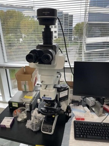 Изображение Поляризационный микроскоп Olympus BX53M для работы в проходящем и отраженном свете