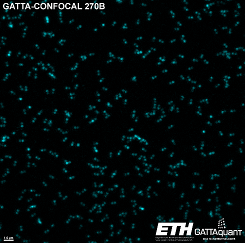 Флуоресцентные маркеры-нанолинейки GATTA-CONFOCAL NANORULER