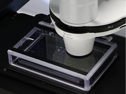 Инкубатор для столиков микроскопов, для луночных планшетов, CO2/O2