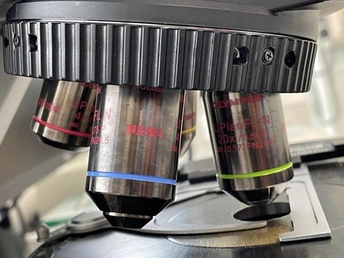 Изображение Поляризационный микроскоп Olympus BX53M для работы в проходящем и отраженном свете