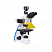 Флуоресцентный микроскоп MF31