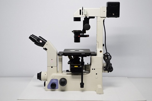 Изображение Микроскоп Nikon TE300, инвертированный, флуоресцентный, фазово-контрастный