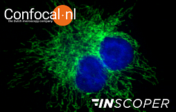 Конфокальная микроскопия c оптическим модулем Confocal.nl и системой управления Inscoper