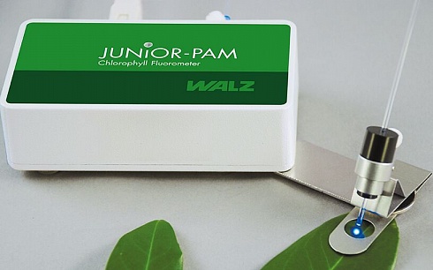 JUNIOR-PAM - универсальный компактный импульсный флуориметр Walz