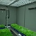 Фото PlantScreen Compact - роботизированная система фенотипирования со встроенным конвейером