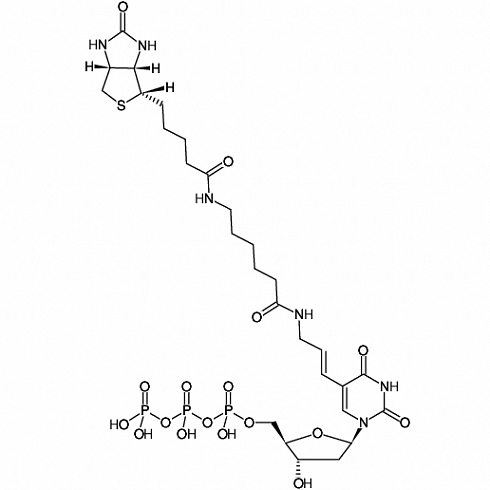 Biotin-11-dUTP