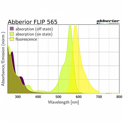 Флуоресцентный краситель Abberior FLIP 565