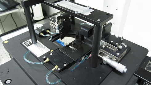 Изображение 902A - лазерный диод для измерения длины саркомеров