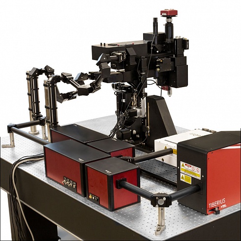 Конфигурация микроскопа для фотоактивации нескольких областей образца